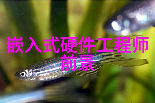直播精彩回顾小米新品发布会震撼亮相