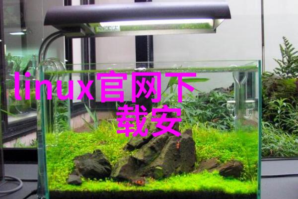 厨房卫生间双星合璧从脏乱到净化的装修奇迹