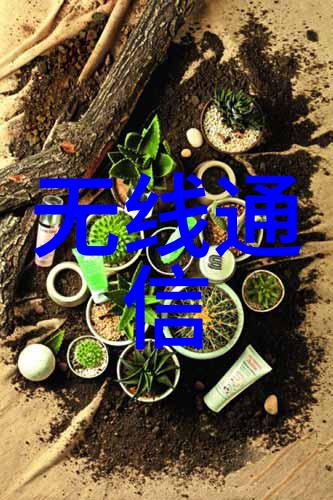 主题我和rom的故事从初恋到现在