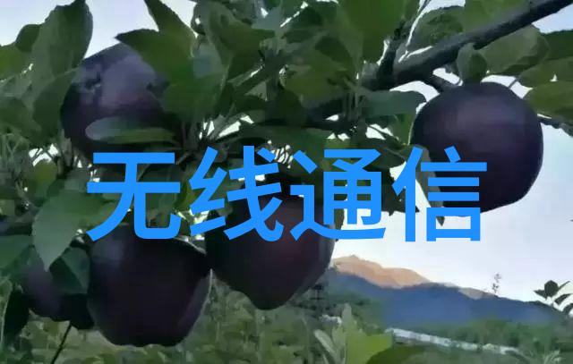 嵌入式应用开发智能硬件系统的编程与集成