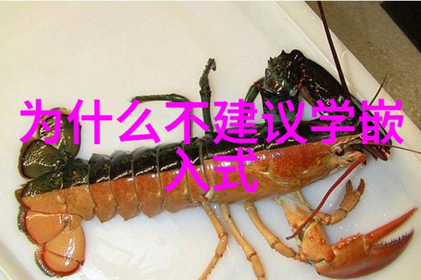 在巴图鲁汽车配件官网上你是否能找到完美匹配你的车型的定制配件