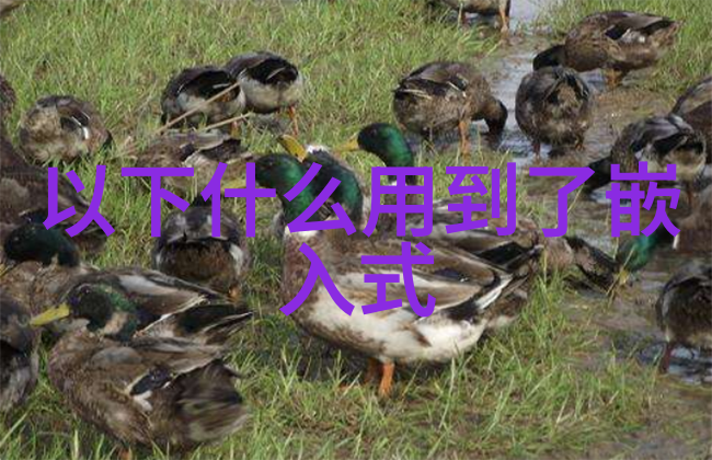 精确包装探索高效的包装检测设备与应用实践