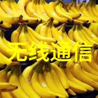 嵌入式培养-深度探索微生物工程中的嵌入式培养技术与应用