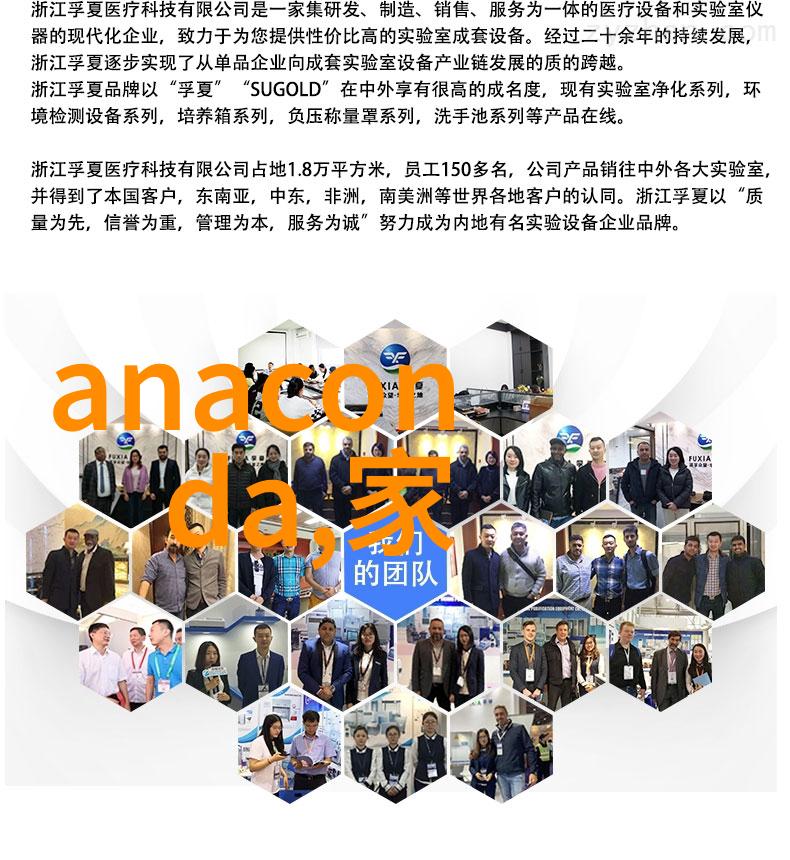 离心萃取机工作原理-旋转分离的奥秘如何利用速度差异实现液体混合物的有效分离