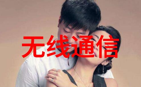 反应器价格机制的经济学分析与应用策略探究