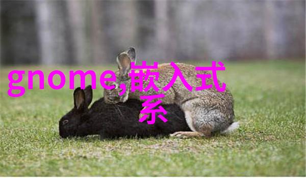 机器心脏工业的液体分离之舞
