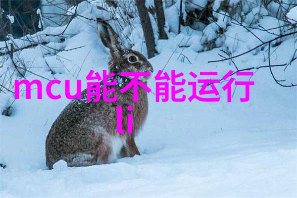 超大型多功能粉碎设备的研发与应用前景
