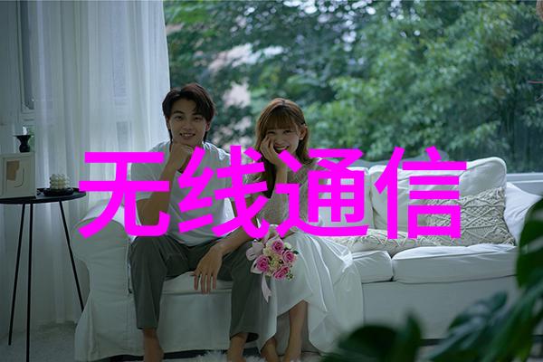 硬件与界面嵌入式与前端技术的未来趋势对比分析