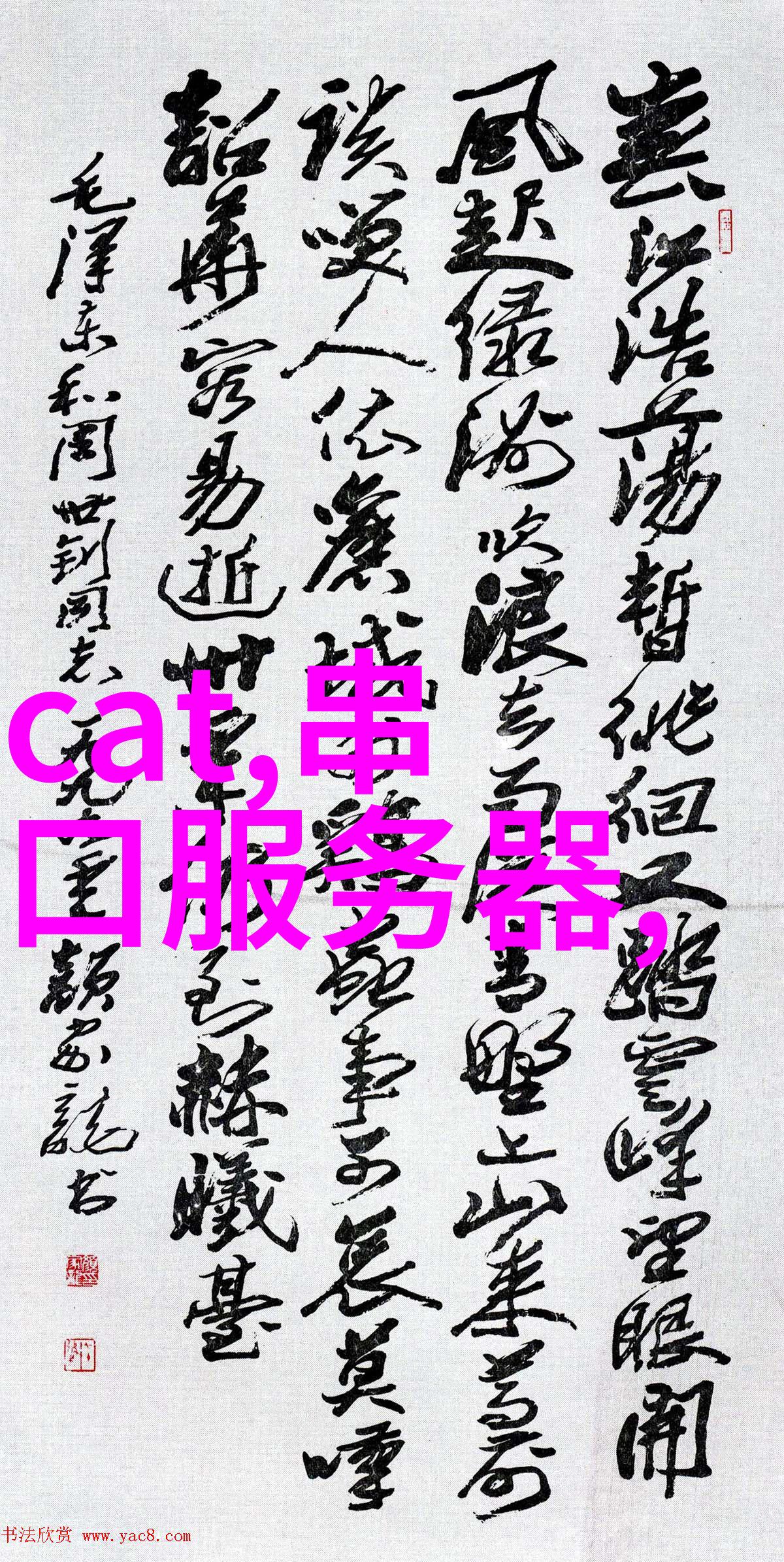 探索未知关于我们世界的报告