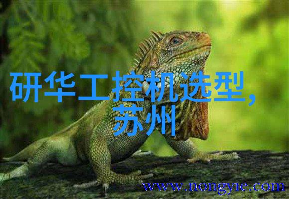 深夜之光下的人性探究