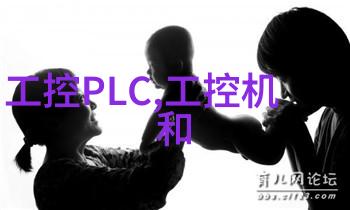 从芯片到代码揭秘嵌入式软件工程师的双重世界