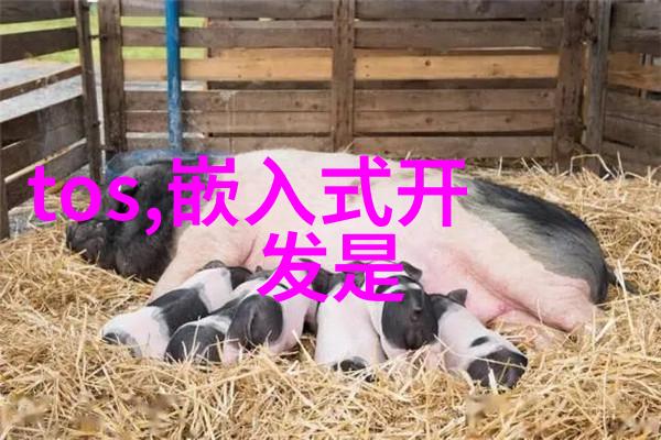 小77网站我在网上的奇幻冒险揭秘小77的神秘世界