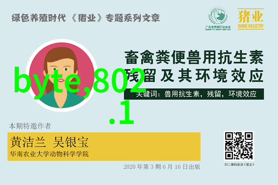 主题我是如何成为一个高效的吸收器的