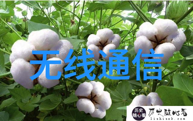 微型工控机-精巧小巧的工业控制巨擎微型工控机在智能制造中的应用与展望