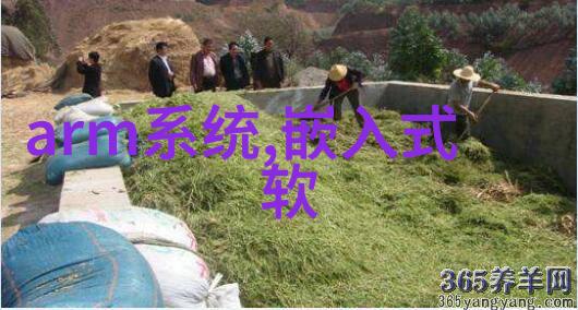 水质净化新纪元探索纯净水净化器的技术与应用