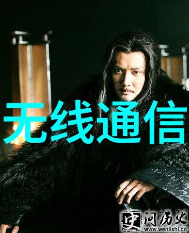 机心嵌入式系统的秘密编织者