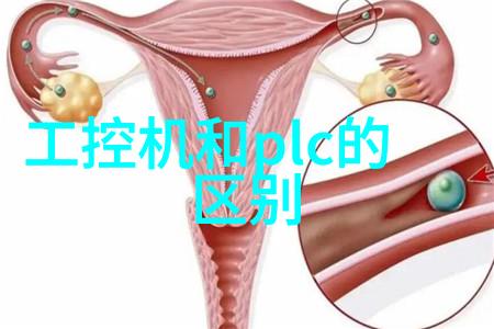九鼎记txt古代帝王的宝藏与权力斗争
