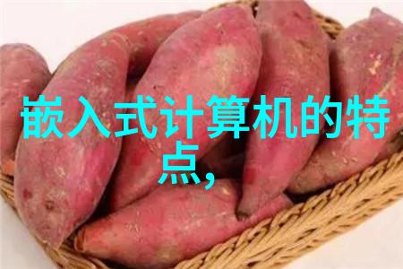 从基础设施到日常生活pp-r管材如何改变我们的世界
