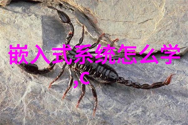 水电工程承包从设计到完工的全方位指南