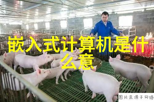 不锈钢深加工我是如何揭开它的秘密面纱的