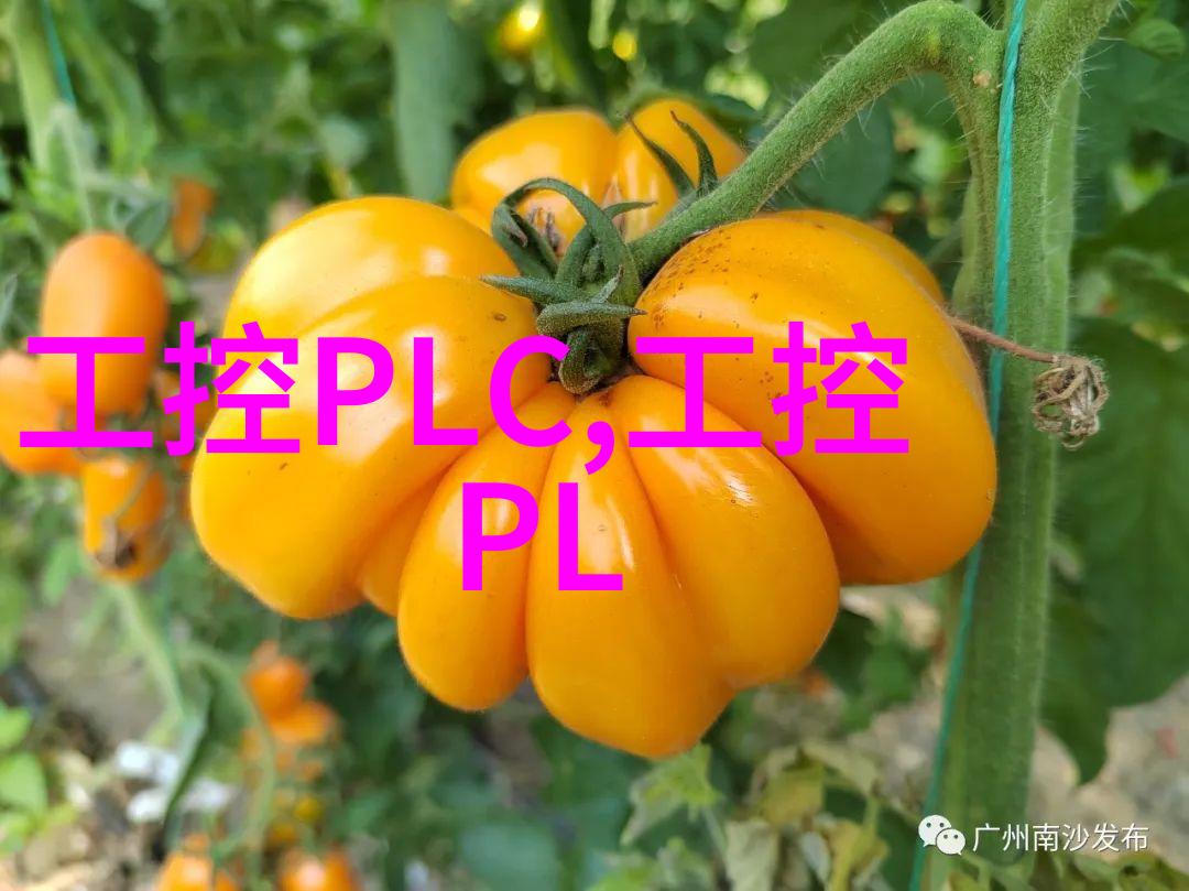 代码与芯片探索理想的嵌入式开发环境