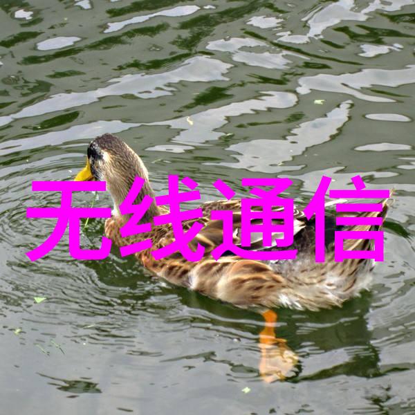 嵌入式技术与应用概述