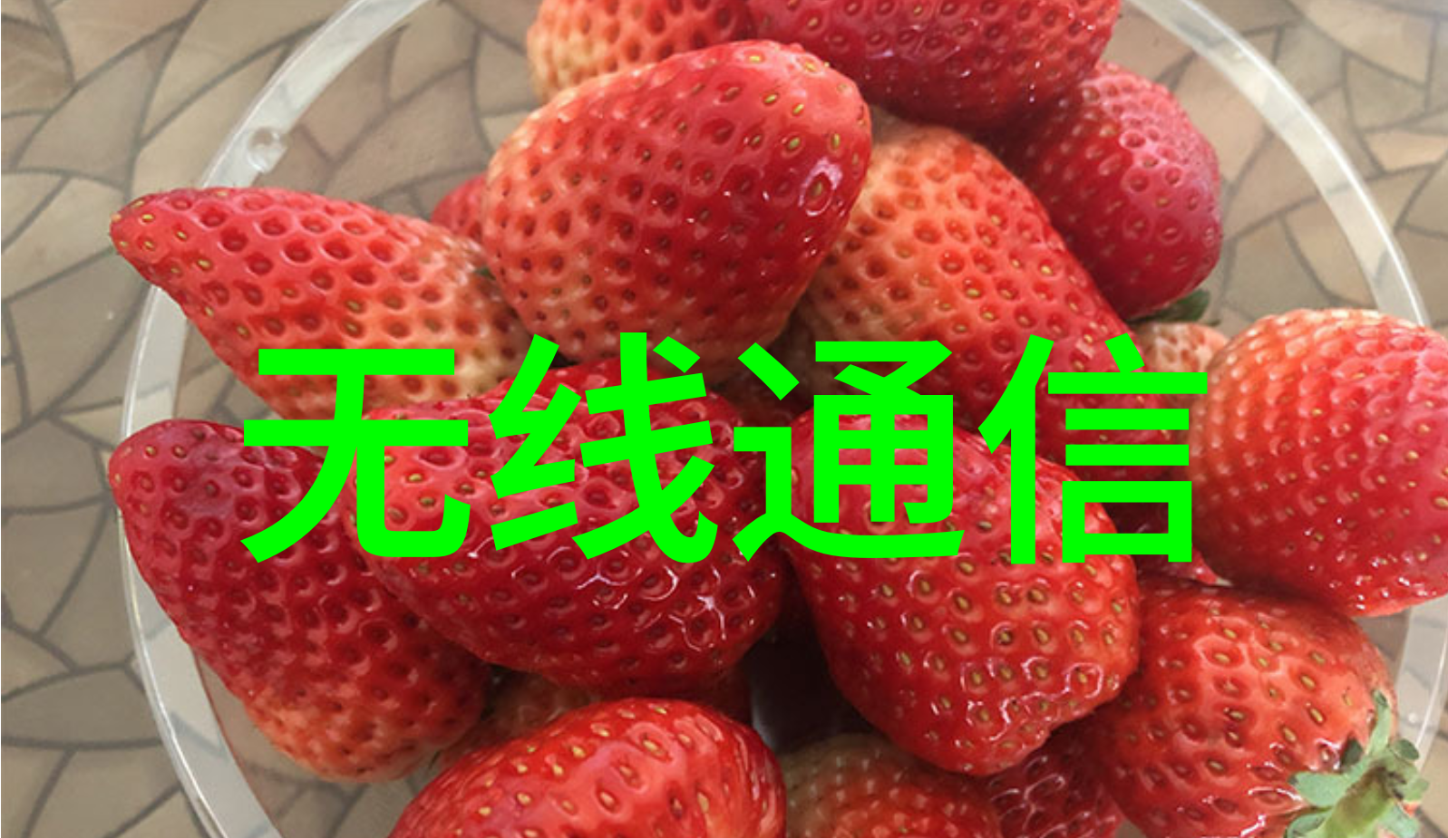 工业袋式除尘器厂家我的选择高效清洁大师