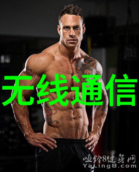 系统深度揭秘嵌入式测试的精髓与艺术