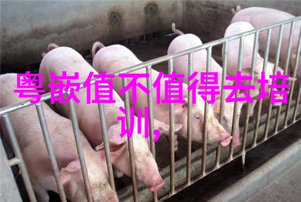 工作汇报与项目进展报告
