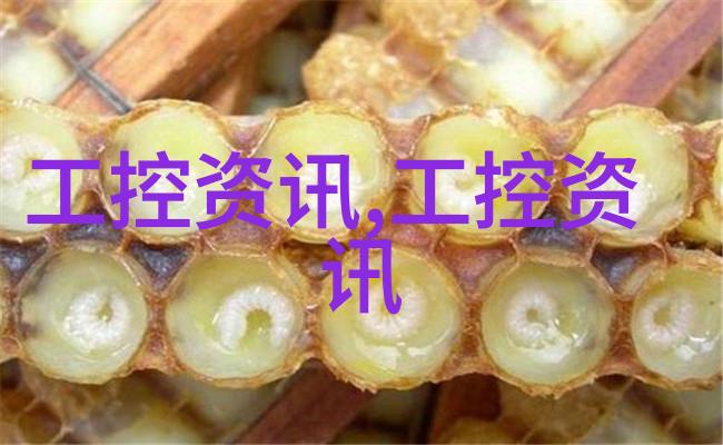 带式干燥设备的工作原理与应用概述