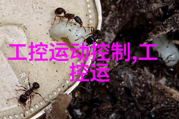 爱你是我最好的时光浪漫的回忆与甜蜜的告白