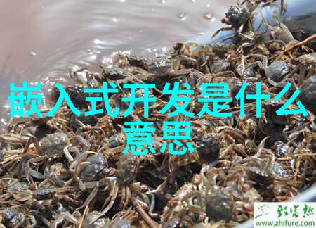 智能物流系统中的技术创新与优化物流技术创新与优化