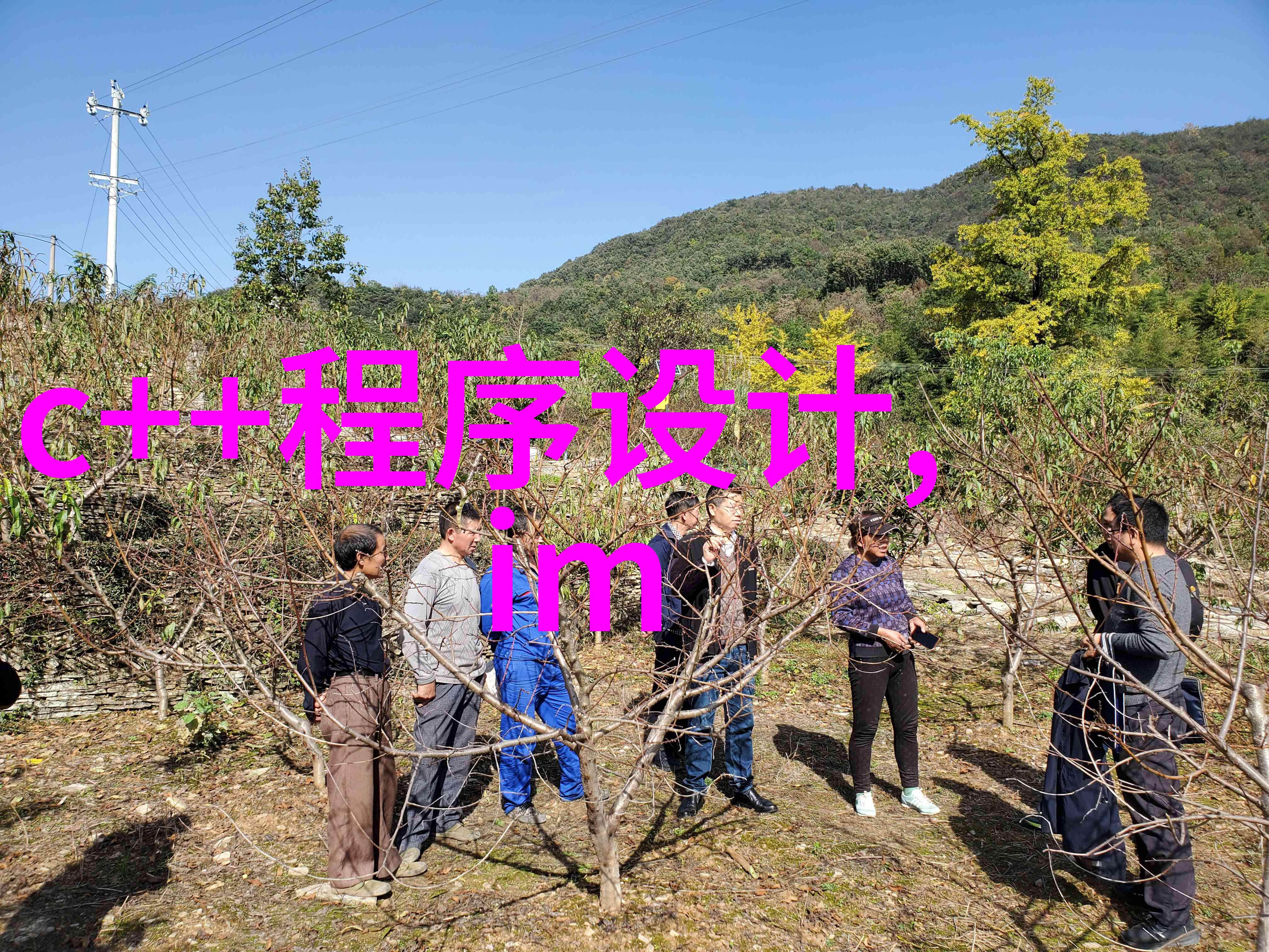 工业自动化中的关键组成部分高速输送带技术的发展与应用