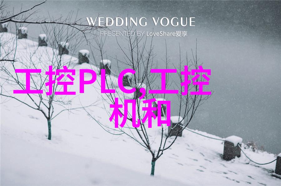小型除尘器家庭清洁的新宠