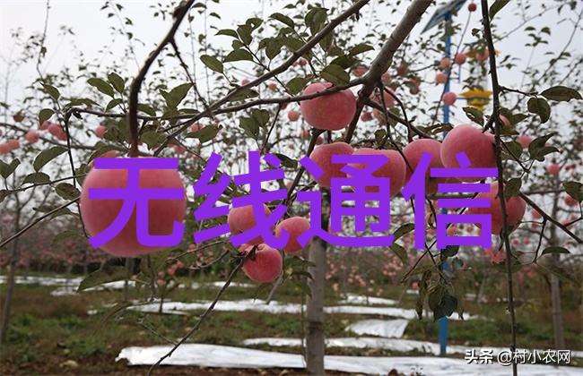 从芯片到应用揭秘嵌入式系统的无形霸主