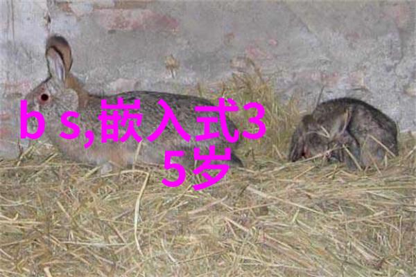 西瓜新品种甜中带涩的未来