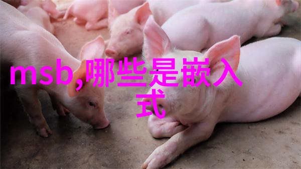 机器视觉网新时代的计算与智能革新