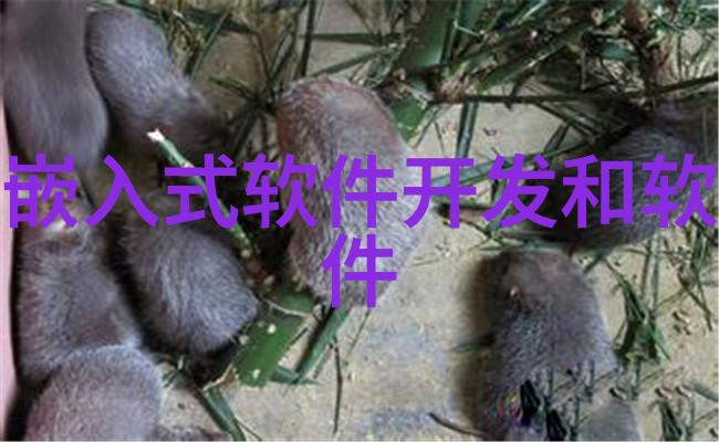 智能化资讯-探索未来资讯传播的新纪元