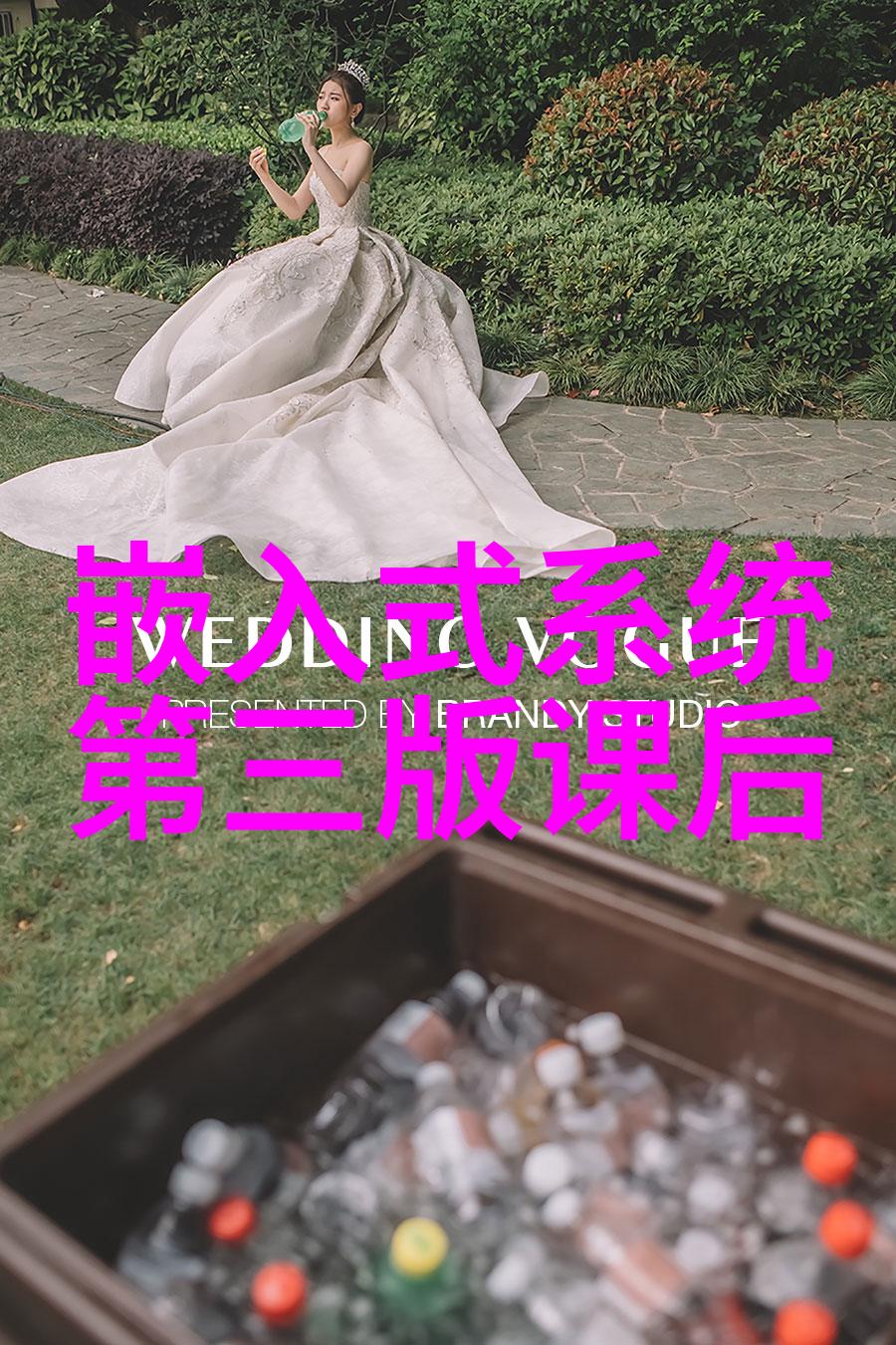 上海机器人产业链上的翘楚探索顶尖企业的创新之路
