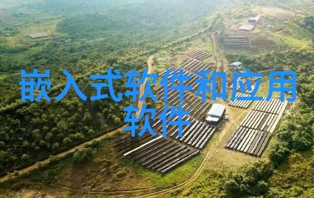 桂花新品种香甜多汁的桂花新纪元