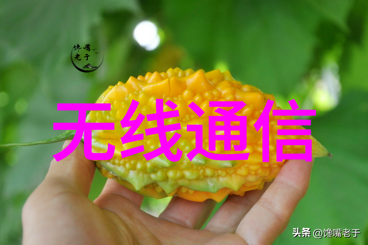 大三学生嵌入式系统培训课程的可靠性探究嵌入式系统学习培训课程评估