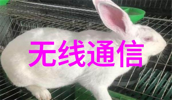 航天测控公司军民一体化保障成果和产品受关注