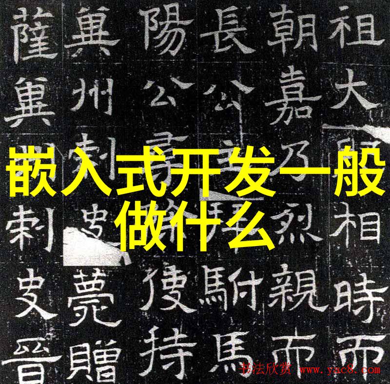 Canon单反EOS650D即将发布