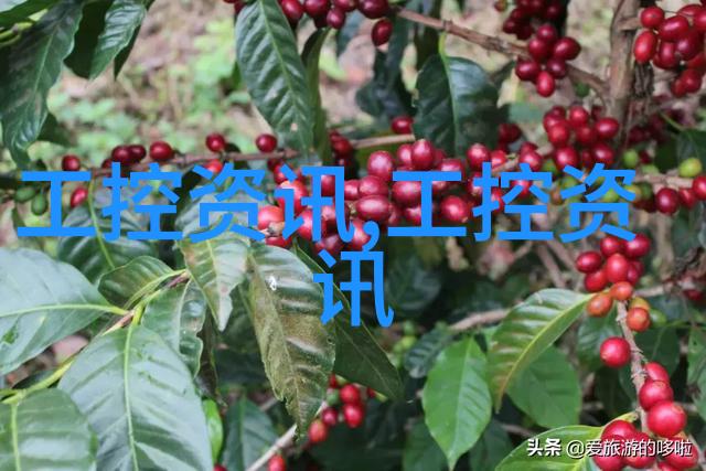 探究三元以下股票的投资潜力剖析市场动态与企业价值评估