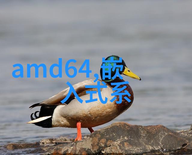 嵌入式开发培训班来吧让我们一起深潜代码海洋