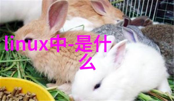 闪烁的锋芒不锈钢价格之波动