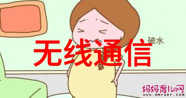 中国石化出版社燃烧的智慧与创新的火花