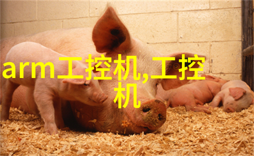 小型辐照灭菌设备价格-精准定价引领医疗消毒新趋势