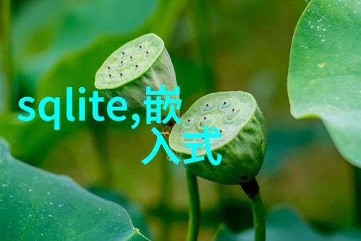 家居设计-梦幻居所精致装修房子的风格设计图解