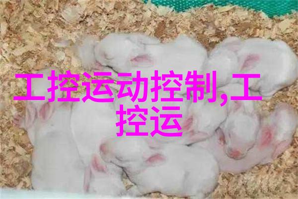 氢气未来能源的希望与挑战